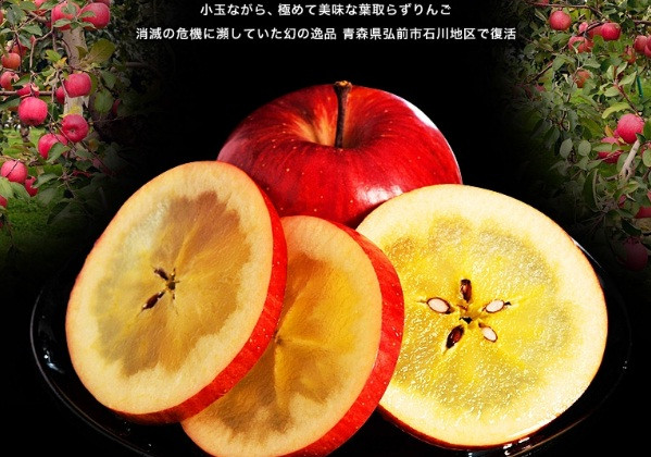 Mặc dù có giá bán từ 700.000 - 800.000/kg (đắt gấp hàng chục lần táo mật Hà Giang) nhưng vào đợt cao điểm, táo mật Nhật Bản vẫn cháy hàng. Ảnh: Bio-farm.