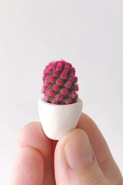 Rosita Mini &amp; Cactus Mini có giá tương tự tạo ấn tượng với mọi người nhờ những mầm màu đỏ tươi, hoặc những chiếc gai vàng sẽ khiến cho căn phòng của bạn thêm màu sắc và tươi mới.