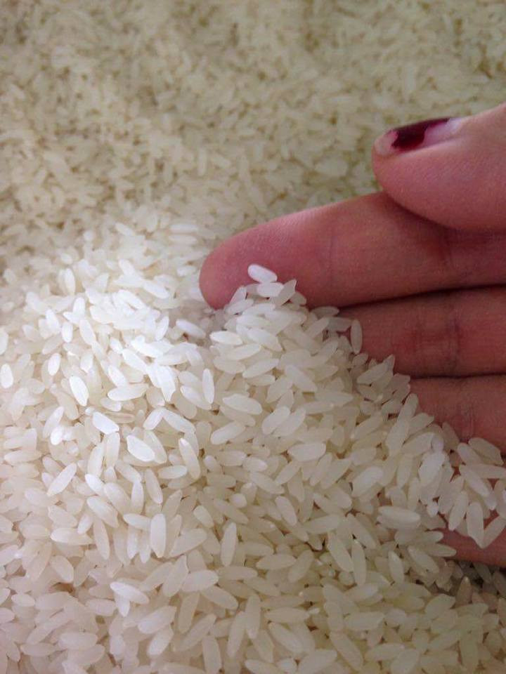 Theo người dân địa phương, gạo Bồ Nâu được trồng từ hàng trăm năm trước. Thời xưa, giống gạo này là đặc sản tiến vua, chỉ dùng trong các dịp lễ Tết quan trọng. Ảnh: FB Nguyễn Sáng.