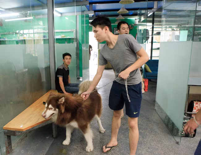 Khi bị ốm, chó còn được cả nhà đưa vào bệnh viện để chăm sóc. Ảnh: Dân Việt.