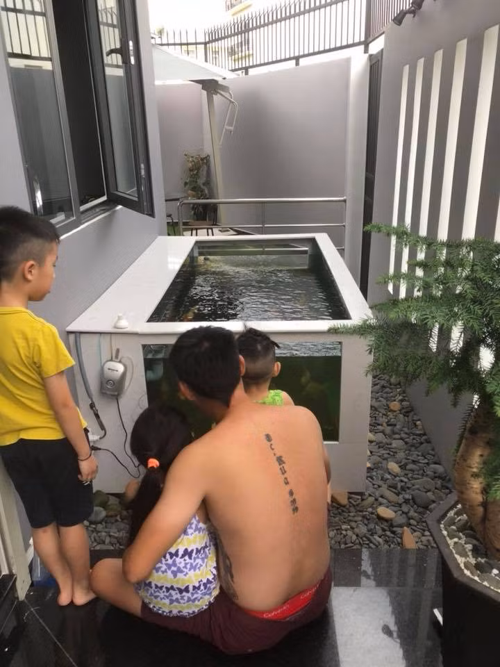 Bể cá cảnh trước nhà. Nguồn ảnh: FB Ốc Thanh Vân.