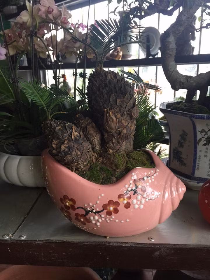 Rất nhiều kiểu dáng được các nghệ nhân tung ra thị trường. Ảnh: FB Ngọc Ngố.