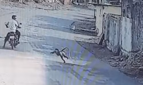 An Do: Khi du “danh chiem” lang, dan phai bo nha ra di