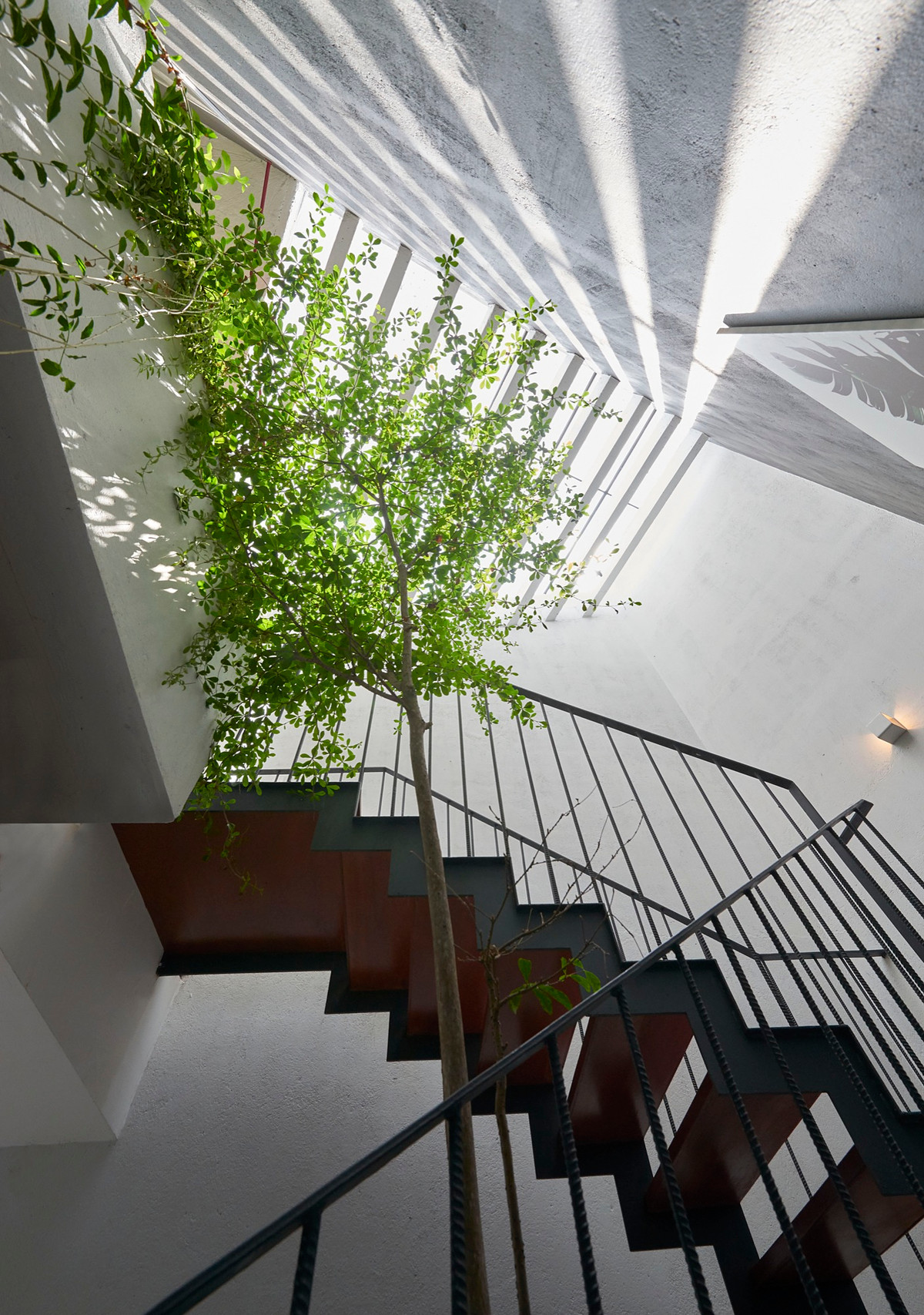 Khu vực giếng trời bên trên cầu thang nhà phố.