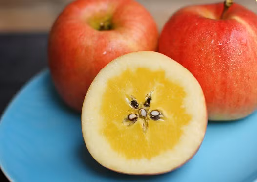 Giống táo đặc biệt này được phát triển từ năm 1985 bởi ông vua Yuya Kimura. Ảnh: Angelashouse.