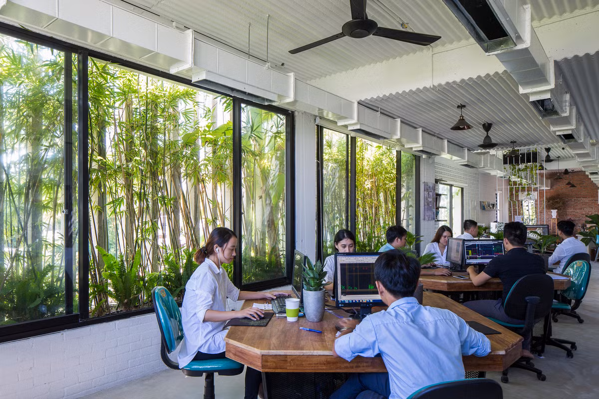 Cửa kính lớn lấy ánh sáng tối đa.