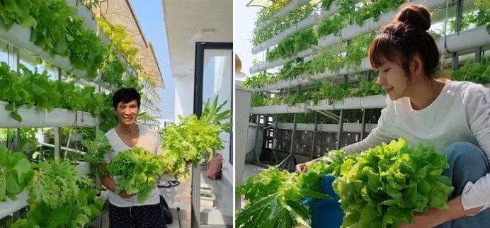 Nổi tiếng là cặp vợ chồng sao Việt đông con hạnh phúc nhất nhì làng giải trí, Lý Hải - Minh Hà còn được khán giả ngưỡng mộ bởi vườn cây xanh tốt bốn mùa trên ban công. Ảnh: DKN.