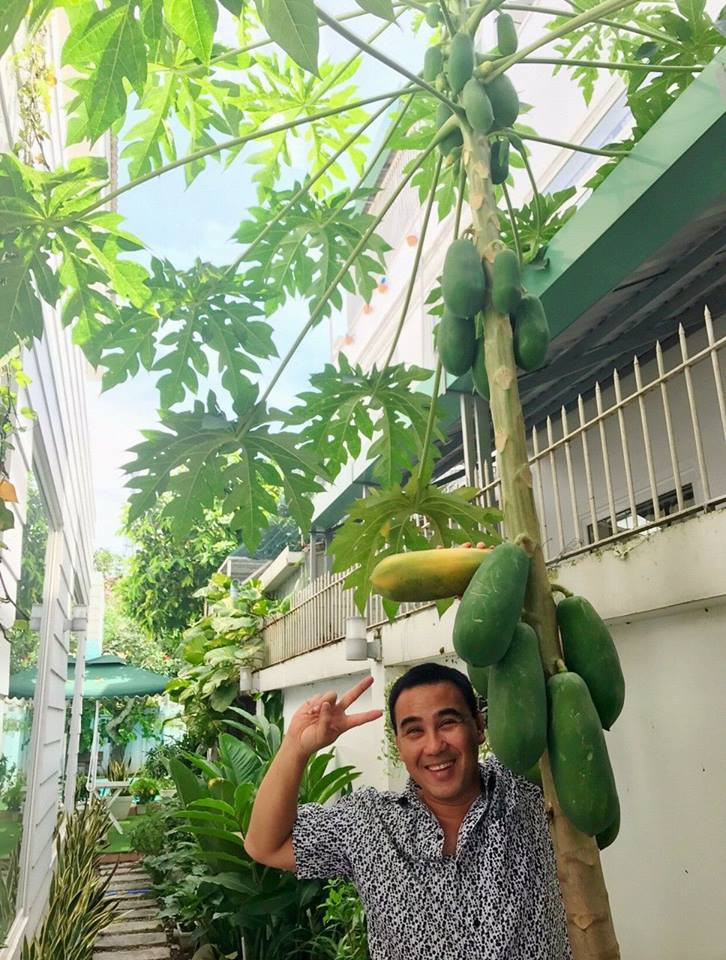 Trong căn biệt thự trắng sang trọng ở TP HCM, vợ chồng Quyền Linh cũng trồng nhiều loại rau và cây ăn trái ở tầng một và sân thượng. Ảnh: FB Quyền Linh.