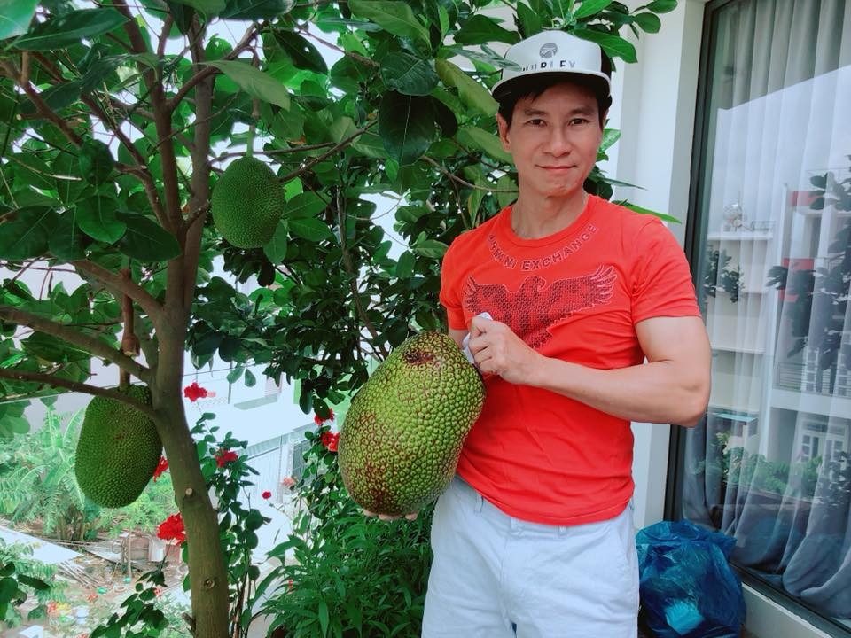 Đặc biệt, vợ chồng Lý Hải - Minh Hà còn chăm được cả một cây mít Thái nhỏ nhưng cho quả khá to. Ảnh: FB Ly Hai Minh Ha.