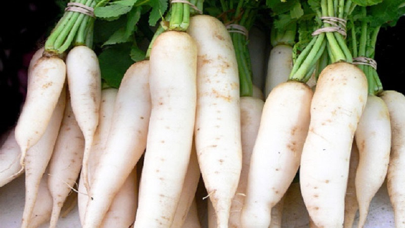 Củ cải Việt thường có màu trắng ngà. Ảnh: Bachhoaxanh.