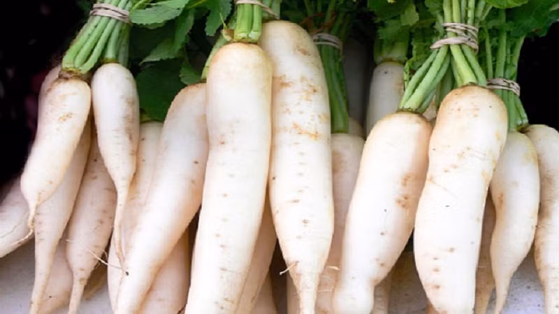 Củ cải Việt thường có màu trắng ngà. Ảnh: Bachhoaxanh.