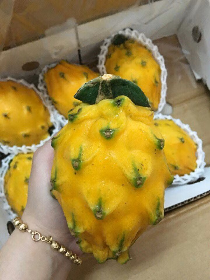 Trong khi thanh long đỏ Việt Nam được bán từ 15.000 - 40.000 đồng/kg thì thanh long vàng có giá cao ngất ngưởng tới 700.000 đồng/kg, thậm chí có thời điểm lên tới 900.000 đồng/kg. Ảnh: Garden Fresh.