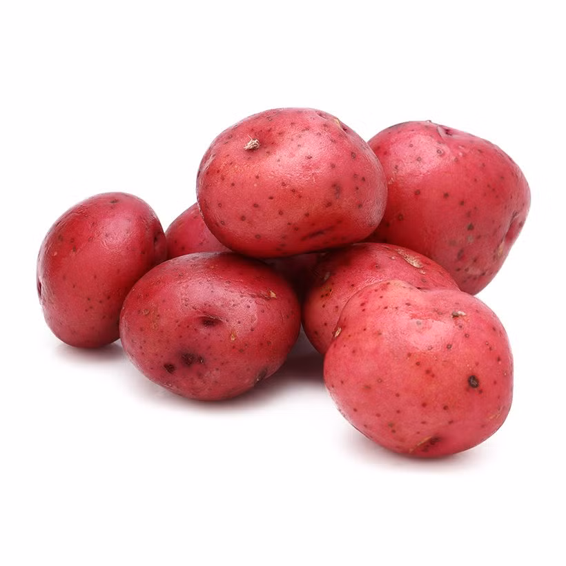 Nếu như khoai tây Trung Quốc có kích thước đồng đều, vỏ dày, trên vỏ có các chấm li ti, mắt củ to thì khoai tây Đà Lạt ít đồng đều, vỏ mỏng nên dễ bị trầy. Ảnh: Bachhoaxanh.