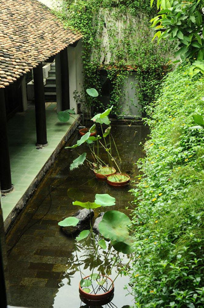 Hồ nước, ao sen bên ngoài sân vườn mang đến cảm giác thân thuộc, bình yên và tĩnh lặng. Ảnh: Vietnamnet.