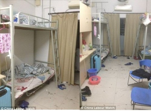 Nhân viên của Catcher sống trong ký túc xá bẩn thỉu và tắm nước lạnh quanh năm.