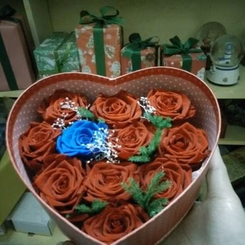 Hoa hồng bất tử 11 bông, có giá 550.000 đồng/hộp./.