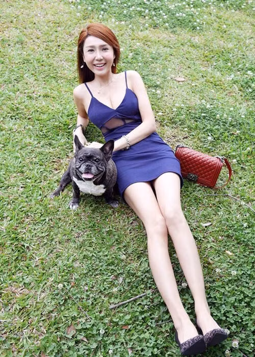 Mỗi khi đi công tác hoặc về Việt Nam, chú chó cưng được chồng cũ cô chăm sóc giúp.