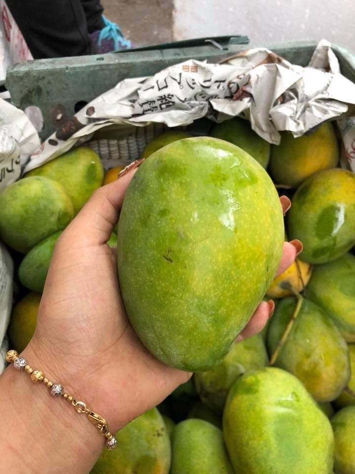 Những ngày này, thị trường trái cây ở Hà Nội xuất hiện nhiều loại xoài như xoài hạt lép, xoài Yên Châu, xoài Nha Trang...Ảnh: FB Tố Uyên.