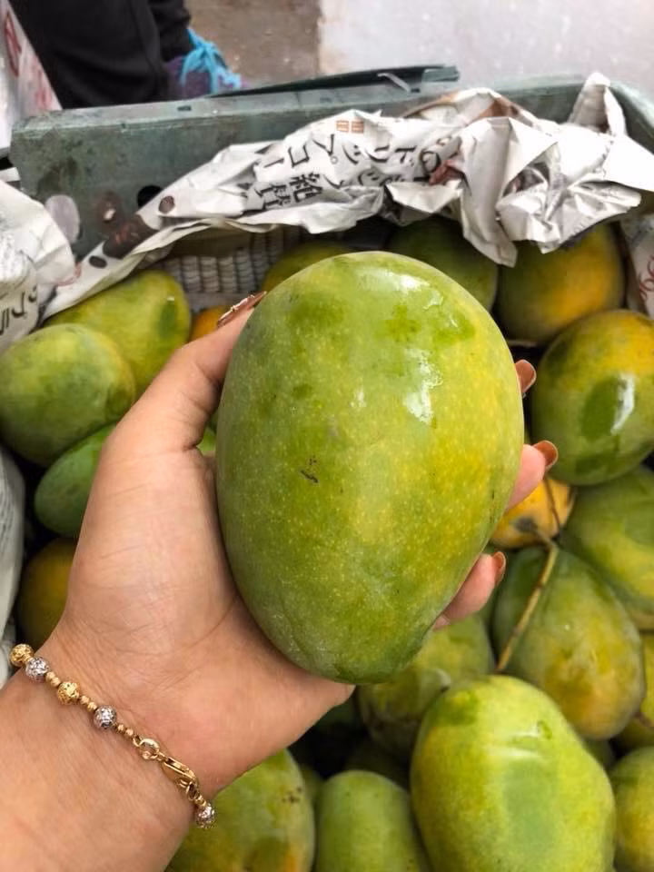 Những ngày này, thị trường trái cây ở Hà Nội xuất hiện nhiều loại xoài như xoài hạt lép, xoài Yên Châu, xoài Nha Trang...Ảnh: FB Tố Uyên.