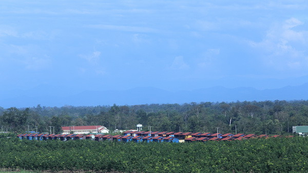 Khu nhà tái định cư. Ảnh: HAGL Group.