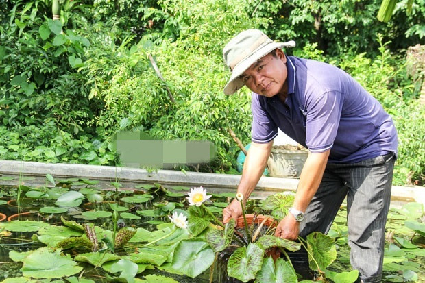 Vườn hoa súng của ông Lãng rộng khoảng 1000m2 với trên 2.000 chậu, phong phú về chủng loại, đa dạng về xuất xứ. Ảnh: Bapdanang.