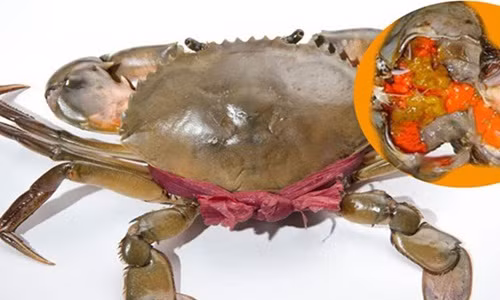 Cua gạch son là hải sản nổi tiếng của Cà Mau. Ảnh: Vuacamau.