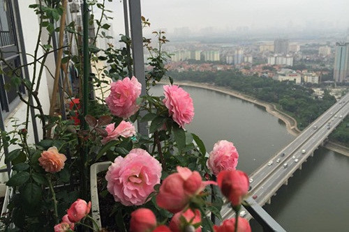 Góc ban công nhỏ xinh và quyến rũ. Ảnh: Em đẹp.