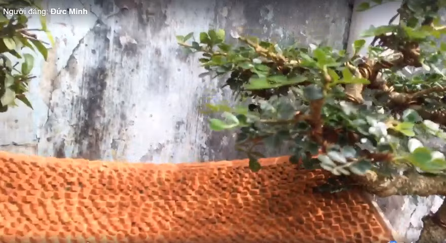 Mái ngói được tái hiện một cách tỉ mỉ.