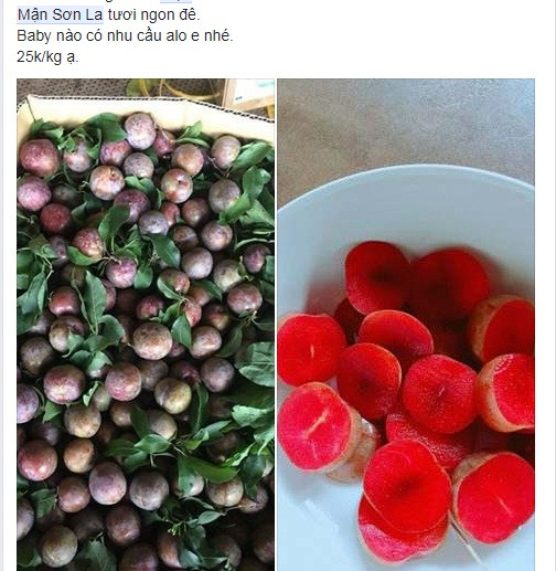 So với đầu mùa, nhiều trái cây vào vụ giá đã rẻ hơn nhiều. Nếu như đầu mùa, giá mận dao động từ 150.000 - 200.000 đồng/kg thì nay mận chỉ còn 20.000 - 30.000 đồng/kg. Ảnh: Facebook.