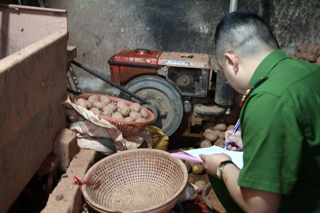 Liên quan đến vấn đề này, chiều 21/8, đoàn kiểm tra liên ngành tỉnh Lâm Đồng kiểm tra một số quầy tại chợ nông sản Đà Lạt và phát hiện tiểu thương tổ chức tẩy rửa và trộn đất vào khoai tây Trung Quốc để mạo danh hàng Đà Lạt. Ảnh: Zing.