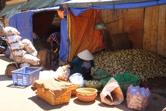 Loat nong san TQ doi lot Da Lat chan dong du luan