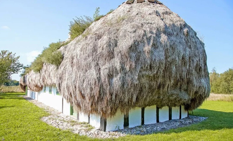 Lớp rong biển dày đặc giúp ngôi nhà cực kỳ mát mẻ vào mùa hè.