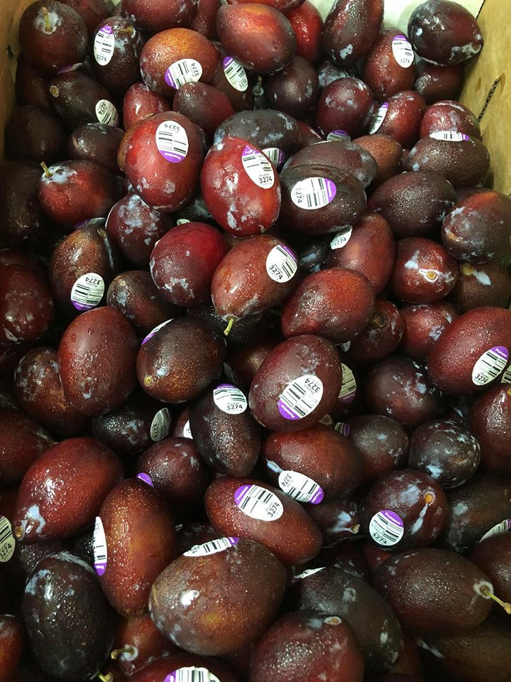 Ngoài mận Úc, mận nhót Mỹ cũng được nhiều chị em lựa chọn. Ảnh: FB Hoa quả ưu đàm.