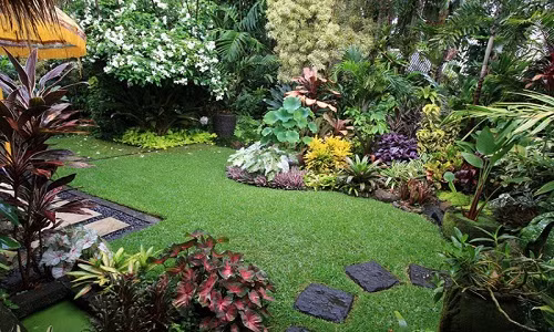 Điều này khiến cho khu vườn chỉ đẹp ở một góc nhìn duy nhất và trông khá tệ hại ở các vị trí khác. Ảnh: Greenmore.