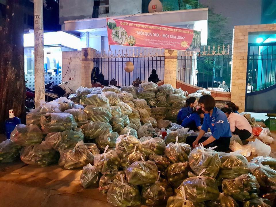 Dưa chuột chất thành đống được các sinh viên tình nguyện chuẩn bị bán vào sớm hôm sau. Ảnh: FB Hải Phòng 24h.