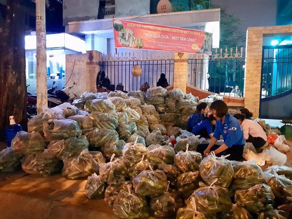 Dưa chuột chất thành đống được các sinh viên tình nguyện chuẩn bị bán vào sớm hôm sau. Ảnh: FB Hải Phòng 24h.