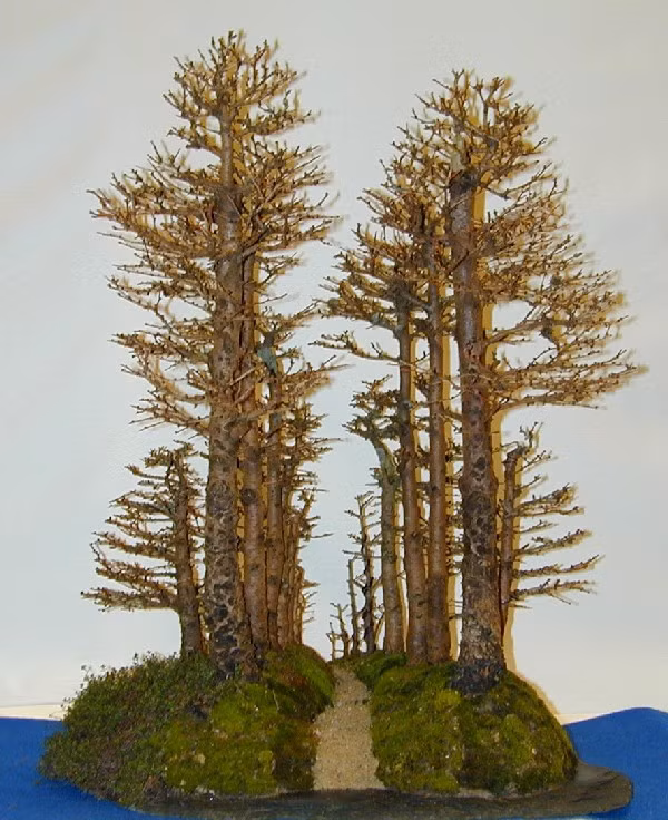 Tiểu cảnh thiết kế dạng cửa rừng. Ảnh: Caycanhdanang.