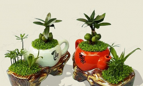 Tiểu cảnh mini biến tấu độc đáo từ tách trà. Nguồn ảnh: Housebeautiful.