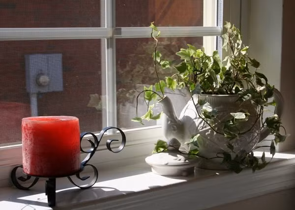 Ấm trà và cây dây leo là gợi ý giảm bớt sự nhàm chán cho ô cửa sổ đơn điệu.