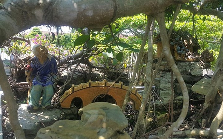 Bên dưới cây được phối cảnh trông rất bắt mắt làm tăng vẻ đẹp của cây.