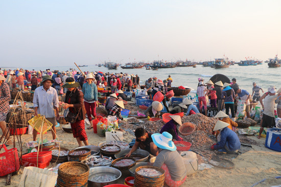 Điều đặc biệt của chợ này là chỉ hoạt động vào mùa hè khi các thuyền đánh bắt ra khơi. Thời gian khác, chợ không họp ở bãi biển mà di chuyển sang nơi khác. Ảnh: Baoquangnam.