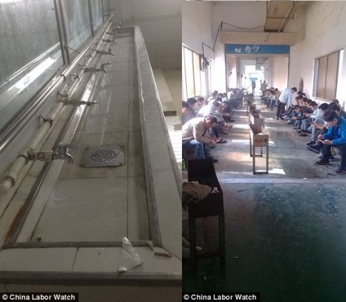 Bức ảnh cho thấy được một vài góc sinh hoạt hằng ngày của nhân viên Catcher.