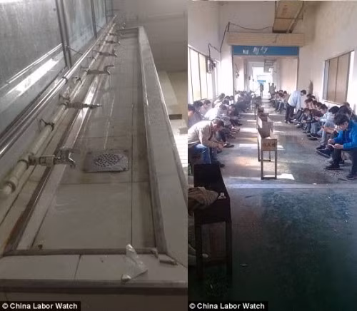 Bức ảnh cho thấy được một vài góc sinh hoạt hằng ngày của nhân viên Catcher.