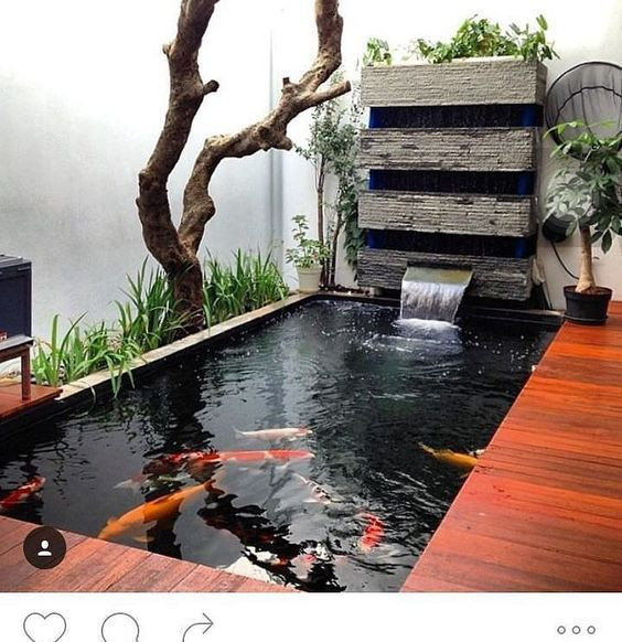 Tuy nhiên, hồ cá mini trong nhà yêu cầu kỹ thuật cao nhằm đảm bảo độ an toàn và tính thẩm mỹ. Ảnh: Thienduongkoi.