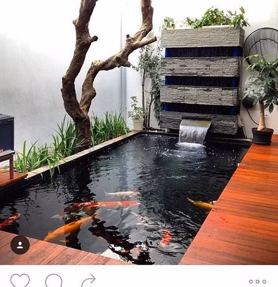 Tuy nhiên, hồ cá mini trong nhà yêu cầu kỹ thuật cao nhằm đảm bảo độ an toàn và tính thẩm mỹ. Ảnh: Thienduongkoi.