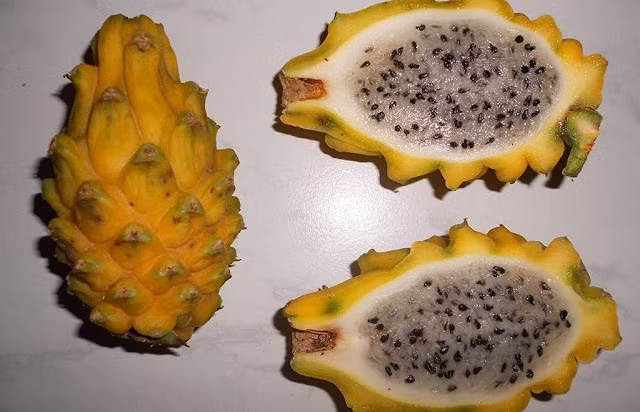 Thanh long Malaysia thường chỉ có vào những tháng cuối năm nên số lượng thu hoạch mỗi mùa có hạn, dẫn đến giá bán cao. Ảnh: Traicaydungmap.