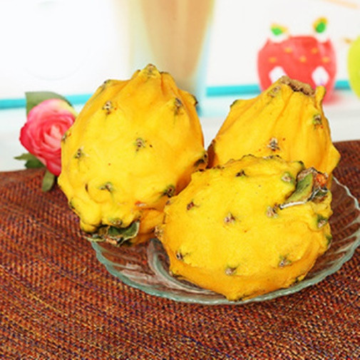 Thêm nữa, do thanh long được vận chuyển bằng đường hàng không nên chi phí rất đắt. Ảnh: Caycanhphuongnam.