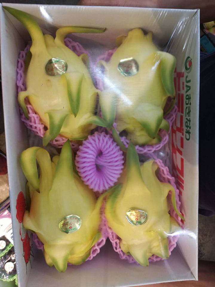 Theo cửa hàng thì đây là hàng xách tay từ Nhật Bản. Trái thanh long có màu vàng đẹp mắt được, bán với giá 1,3 triệu đồng/kg. Ảnh: Oanhtraicay.