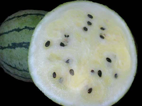 Có thời điểm sốt, giống dưa hấu ruột trắng được rao bán trên mạng với giá vô cùng đắt đỏ 20.000 đồng/hạt. Ảnh: Facebook.