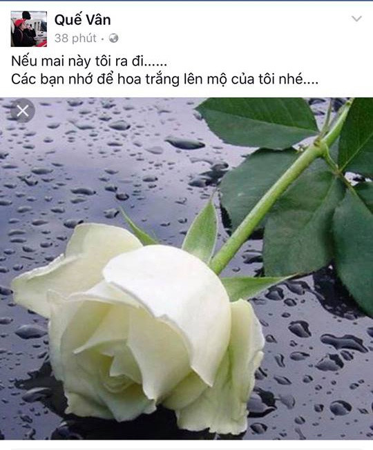 Quế Vân chia sẻ status gở mồm.